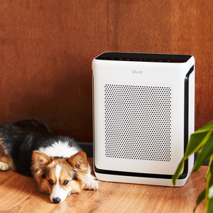 levoit-vital-pet-pro-purificateur-d-air-pour-animaux-avec-technologie-auto-clean image 8