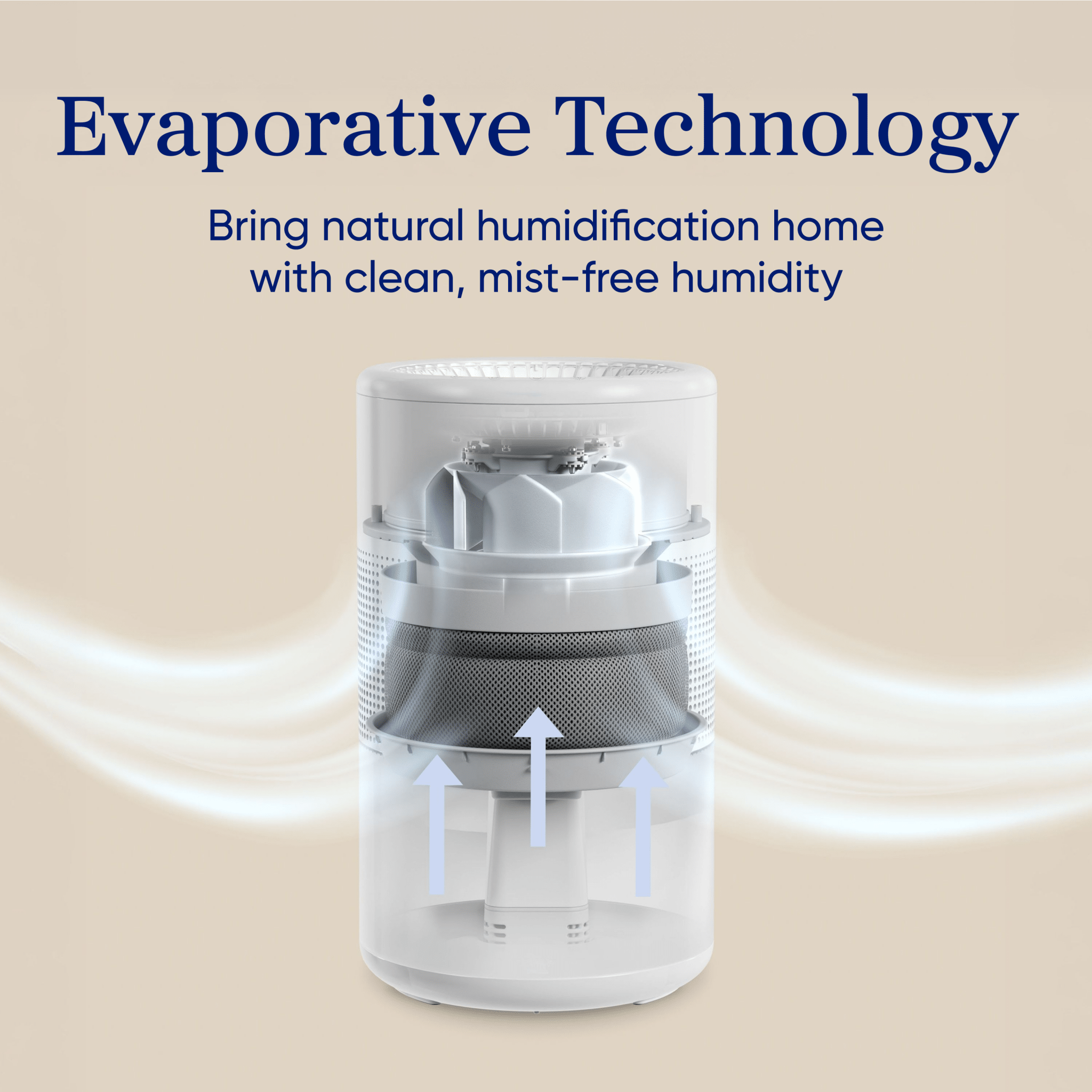levoit-superior-studio-450-humidificateur-vaporatif-sans-brume-remplissage-par-l image 3