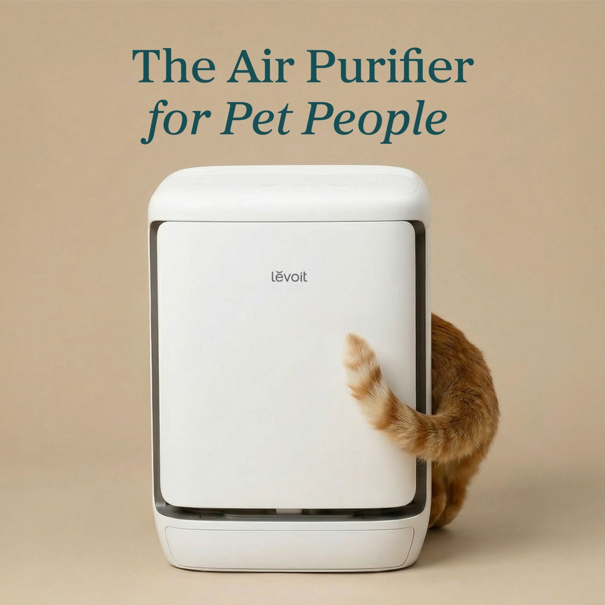 levoit-vital-pet-pro-purificateur-d-air-pour-animaux-avec-technologie-auto-clean image 3